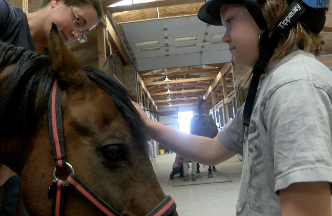 Healing through horsemanship at Eagle Mount in Bozeman - Vimarsana News
